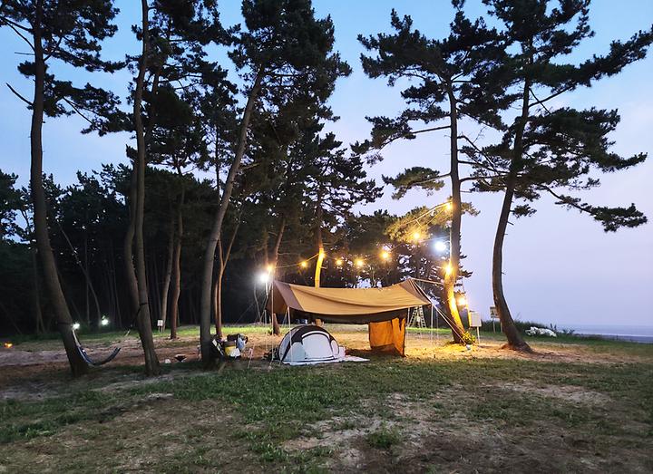 [충청남도 태안군] 태안노을숲캠핑장 – 마검포 바다 앞에 위치한 노을 보기 좋은 바다뷰 캠핑장