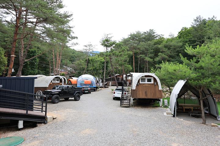 [경기도 포천시] 숨쉬는고래 글램핑