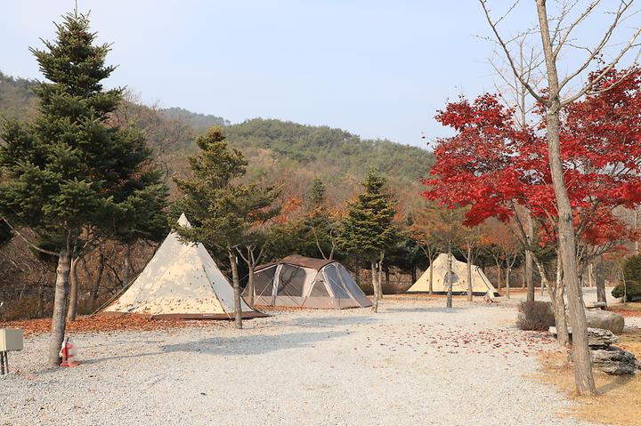[강원도 춘천시] 프라임캠핑장 – 자연 속에서 가족의 웃음이 자라는 곳, 프라임캠핑장