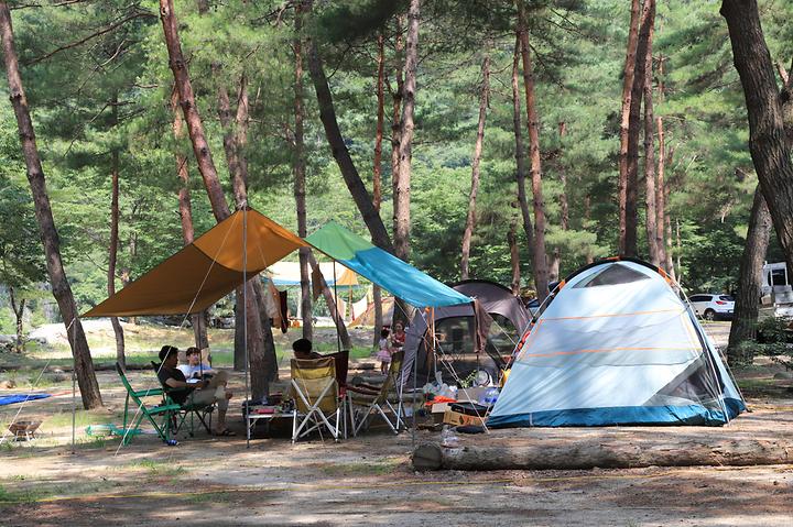 [강원도 영월군] 리버힐즈 캠핑장(푸른농원)