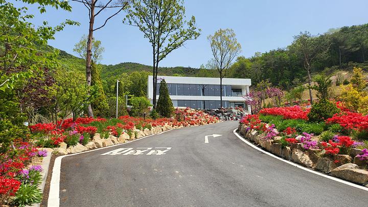 [충청남도 아산시] 배방관광농원 – 천안아산 근교 힐링여행 마운틴뷰 맛집 배방관광농원캠핑