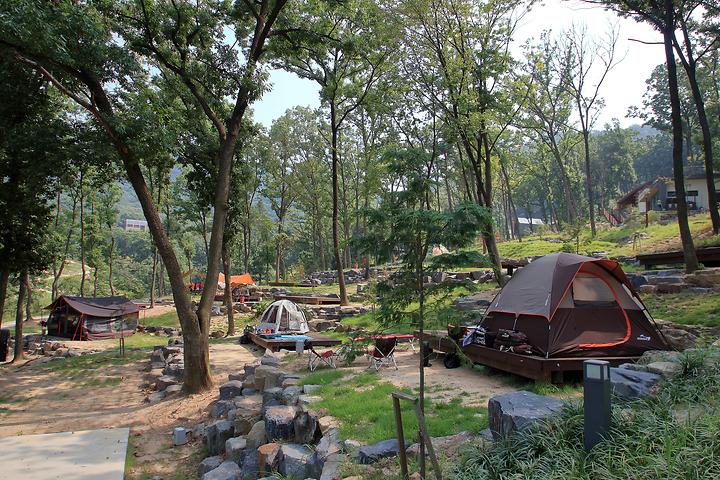 [충청남도 공주시] 공주산림휴양마을 – 울창한 산림 속에서 자연과 하나 된 캠핑장