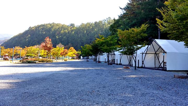 [경기도 가평군] 플로렌스 글램핑 & 캠핑 – 맑음 숲의 공기와 맑은 계곡의 하모니가 어우러진 글램핑의 여유로움