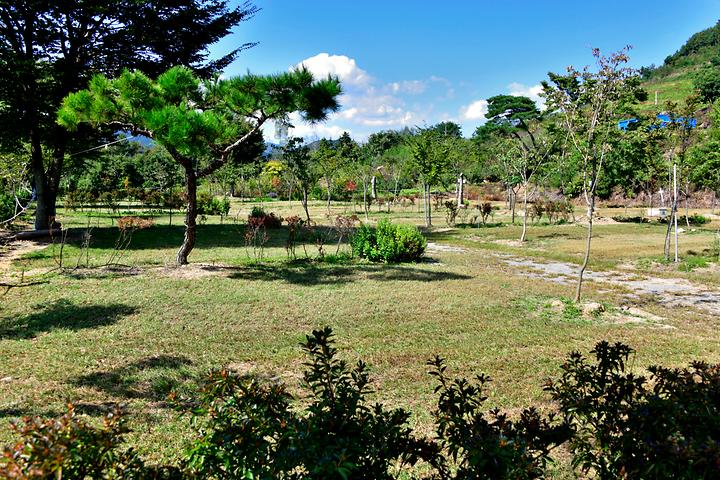 [전라남도 곡성군] 목사골 야영장 – 산 좋고 물 좋은 목사골 야영장에서 휴식을 즐기자