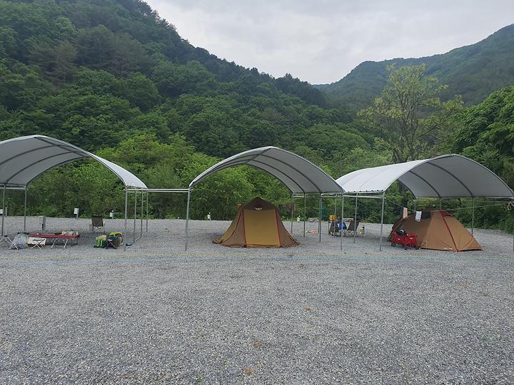[강원도 영월군] 하우스 캠핑장 – 법흥계곡에 있는 아담한캠핑장. 공기좋고 물 맑은 캠핑장