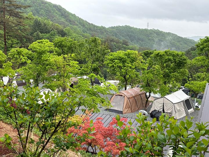 [강원도 홍천군] 소구니캠핑장 – 가족끼리 소곤소곤 자연을 만끼 할 수 있는 최적의장소