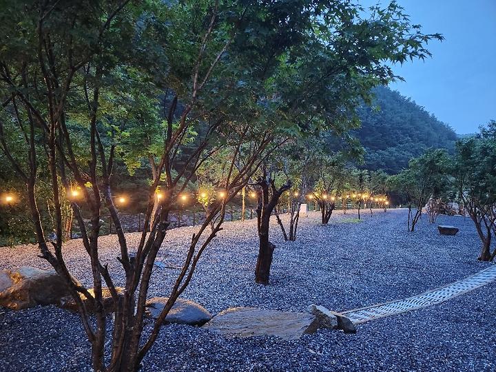 [충청북도 제천시] 월악아지트캠핑장