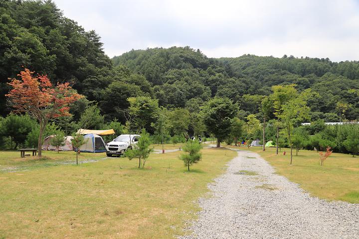 [경기도 양평군] 천사봉 오토 캠핑장
