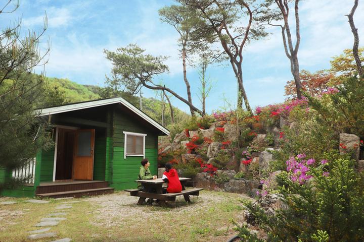 [경상북도 문경시] 미산가족오토캠핑장 – 천혜의 녹색 자연 휴양림, 미산가족오토캠핑장