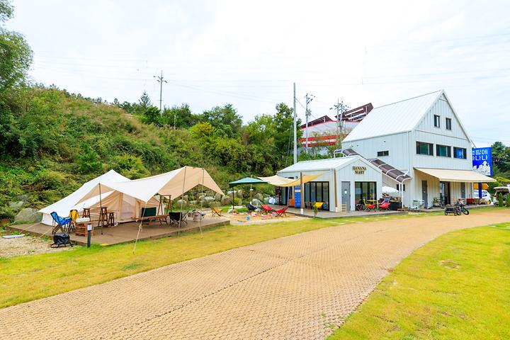 [충청북도 충주시] 캠핑에 바나나