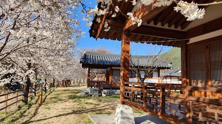 [경상남도 함양군] 농월정오토캠핑장 – 푸른 산과 맑은 계곡 속, 고풍스러운 한옥 펜션과 선비길 탐방로로 힐링을 선사하는 함양농월정오토캠핑장!