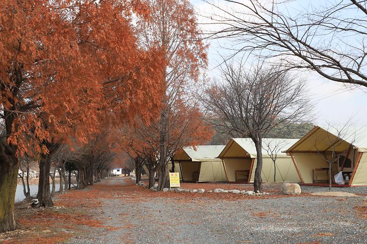 [강원도 원주시] 구룡레저타운야영장