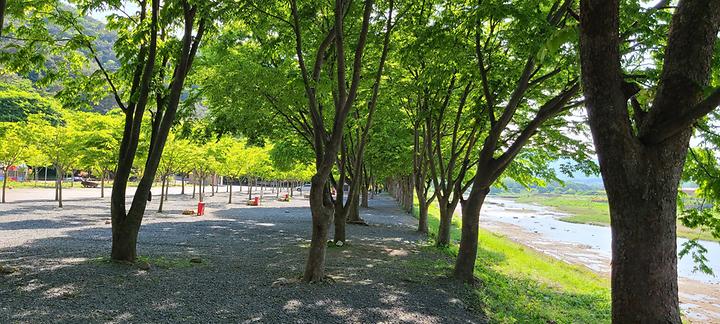 [충청북도 괴산군] 써니밸리오토캠핑장 – 계곡과 숲이 어우러진 산자수명한 캠핑장