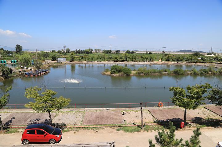 [인천광역시 중구] 만정 캠핑장