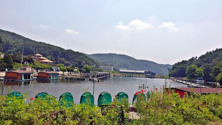 [경기도 용인시] 싱글벙글캠핑장 – 무봉산 품에 자리한 조용한 숲속 캠핑장