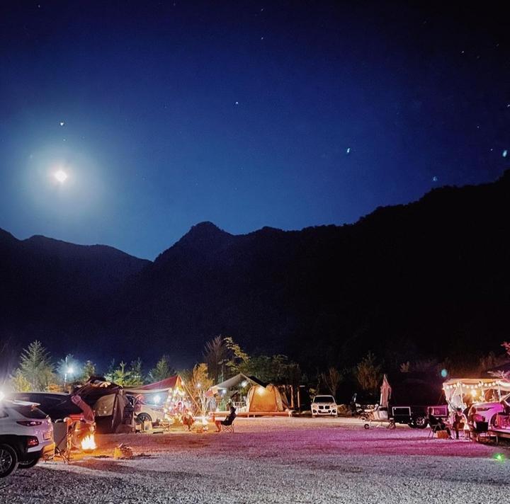 [강원도 정선군] 파인트리캠핑장 – 개미들마을 초입 개울가에 자리한 대형 캠핑장