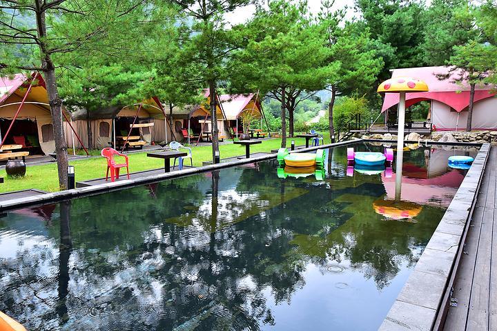 [경기도 포천시] 우리 캠핑장 – 멧돼지, 토끼 등 다양한 동물을 볼 수 있는 우리캠핑장!