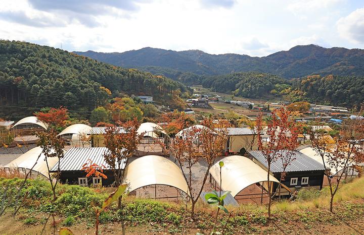 [경기도 포천시] 금동휴양림캠프2
