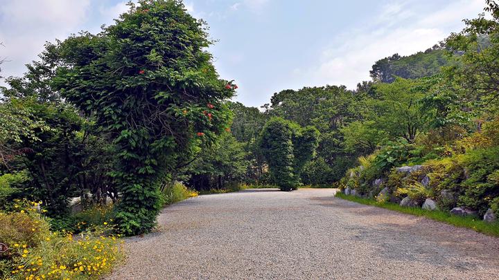 [경기도] 안성비봉산 캠핑장 – 벚꽃, 철쭉 명소에 비봉산 숲속에 자리한 힐링 캠핑장