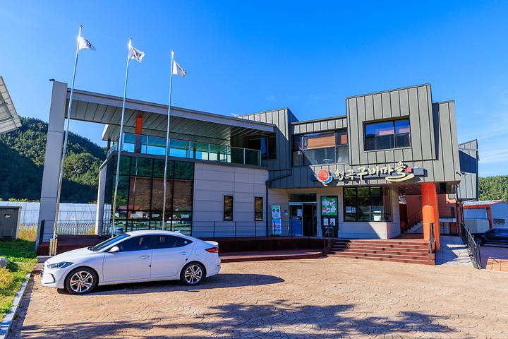 [경상북도 봉화군] 산타캠핑장