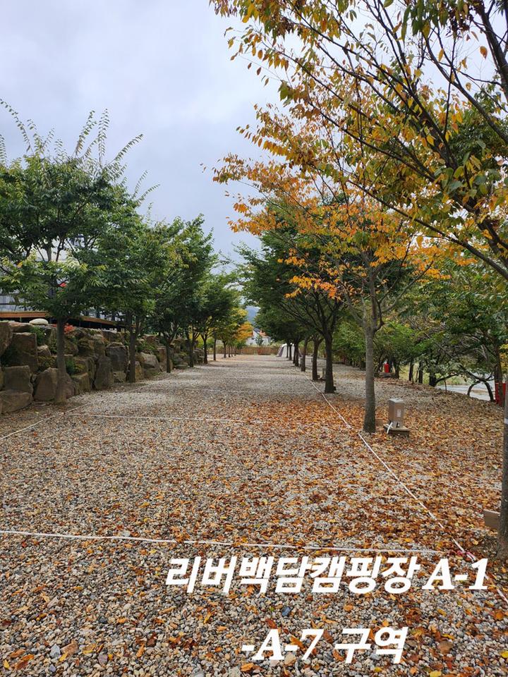 [강원도 인제군] 리버백담 캠핑장