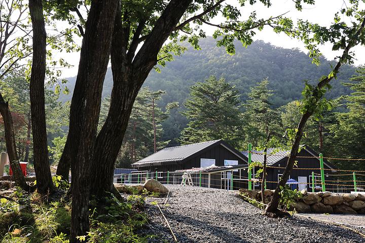 [강원도 양양군] 법수치오토캠핑장