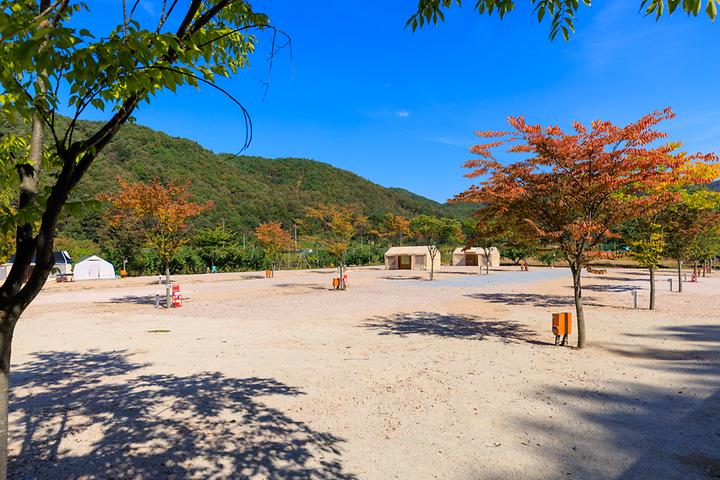 [경상북도 상주시] 돌고래 오토 캠핑장 – 맑은 개울과 자연이 함께하는 돌고래 오토캠핑장