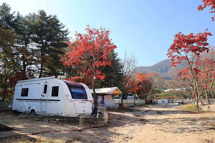 [경기도 포천시] 위드독스in포천 – 애견전용갬핑장 입니다