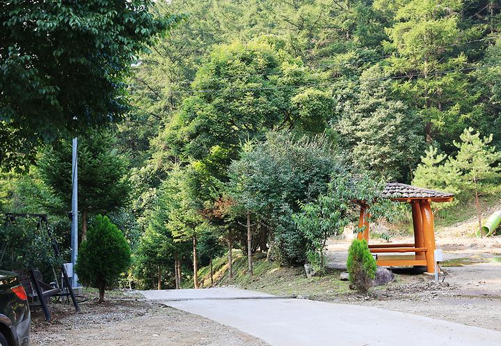 [경기도 양평군] 양평숲 비룡캠핑장 – 비룡산 자락  깊은 계곡에 위치한 시설좋은 캠핑장
