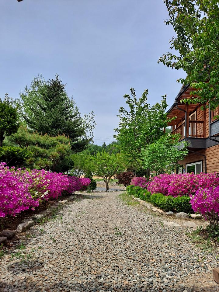 [강원도 횡성군] 숲속의 정든집 야영장 – 캠핑장 앞 맑은 계곡물과 숲이 어울어진 숲속의 정든집 입니다.