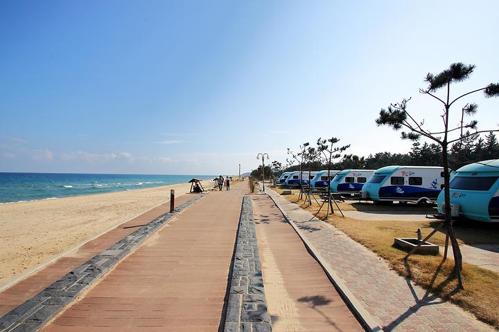 [강원도 동해시] 망상오토캠핑리조트 – 가곡해수욕장을 코앞에 두고 즐기는 캠핑