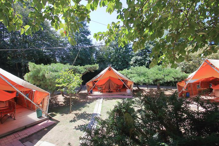 [충청남도 당진시] 초락나루펜션&글램핑 – 싱그러운 숲속에 요새처럼 둥지 튼 글램핑장