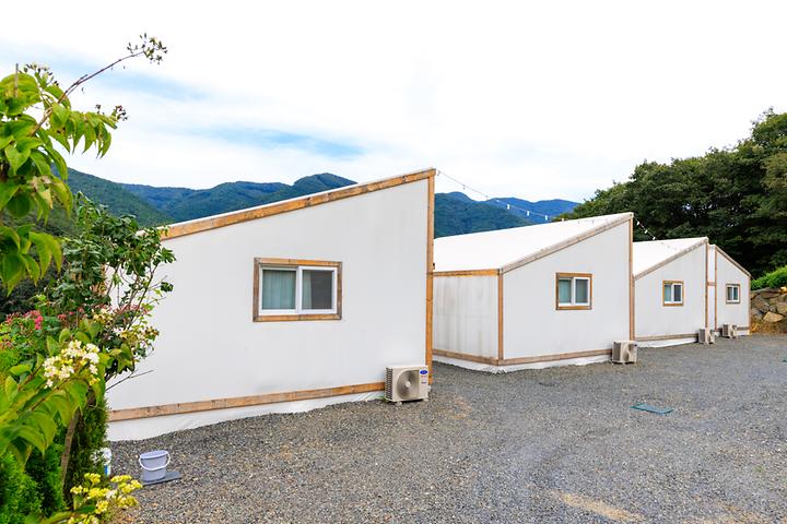 [경상북도 청도군] 돌담숲