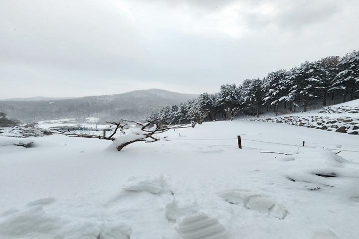 [경기도 여주시] 구릉지캠핑장 – 탁 트인 풍경과 맑은 공기속 힐링 숲