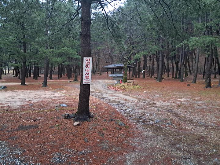 [충청북도 보은군] 속리산 사내리 캠핑장 – 속리산 숲속에서 즐기는 캠핑