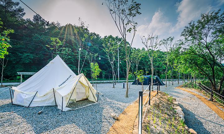 [충청북도 괴산군] 승암159캠핑장 – 코앞에 계곡이 있는 숲속 캠핑장