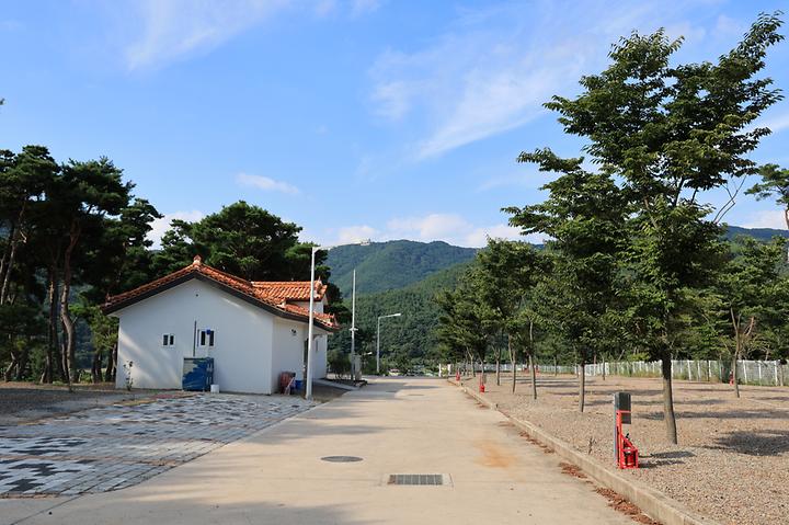 [경상남도 창녕군] 초록여울 캠핑장 – 감동저수지 위 언덕 솔숲 야영장