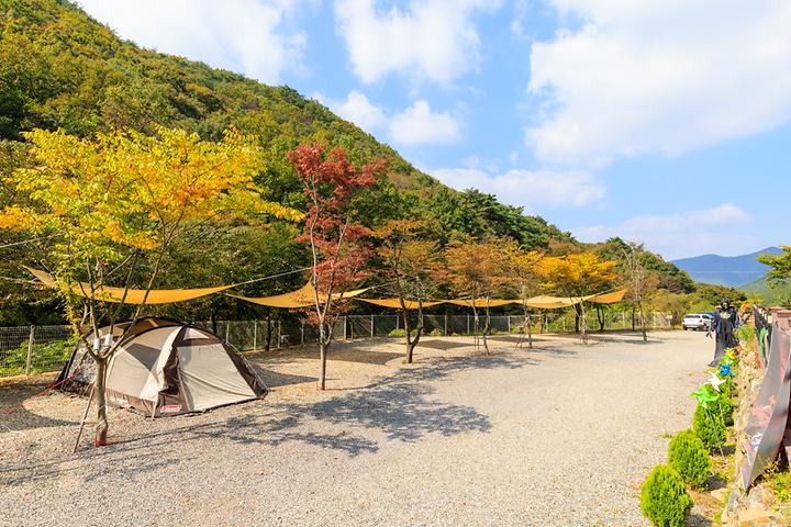 [경상북도 경주시] 오솔길 오토 캠핑장