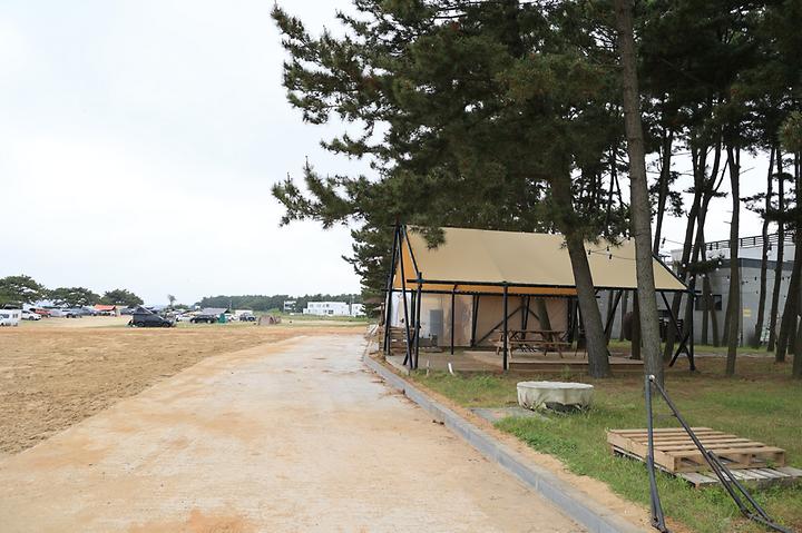 [충청남도 태안군] 청포대솔밭야영장 – 청포대 해수욕장 바로앞 오션뷰 글램핑