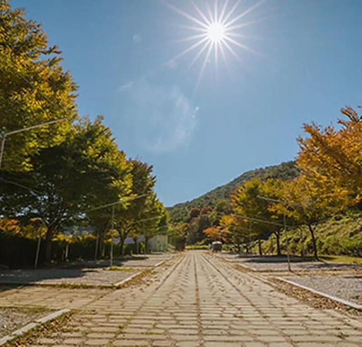 [경상남도 함양군] 함양용추오토캠핑장