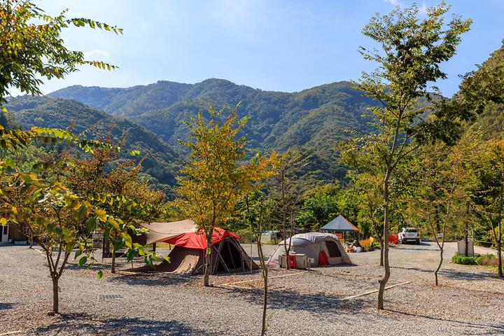 [충청남도 금산군] 육백고지 캠핑장