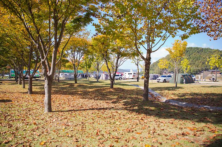 [경상남도 합천군] 정양레포츠공원 오토캠핑장 – 자연을 온전히 즐길 수 있는, 넓고 깨끗한 정양레포츠공원 캠핑장.