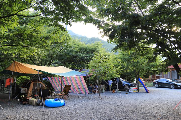 [강원도 영월군] 휴가를 부탁해 캠핑장 – 영월내리계곡 최상류 캠핑장