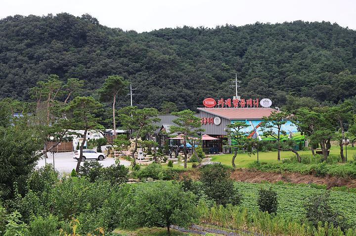 [전라북도 정읍시] 소풍 스테이 – 카페 팔롬비니와 함께 있는 동진강변 카라반 야영장