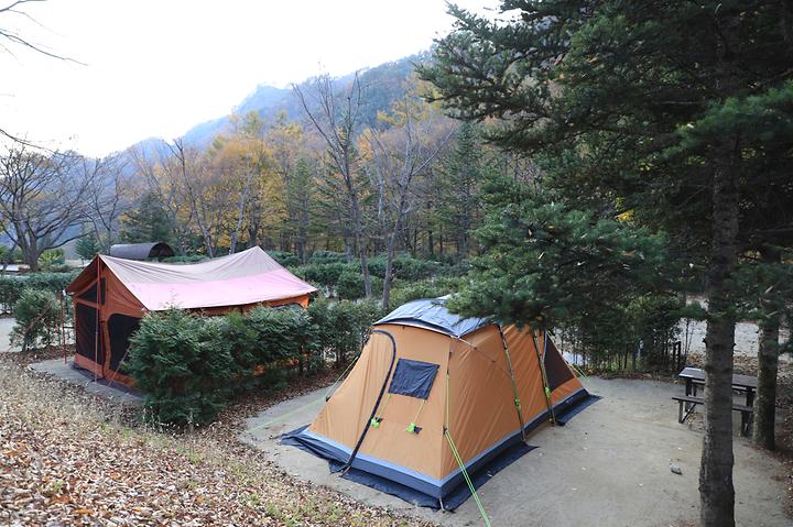 [강원도 원주시] 금대자동차야영장(치악산국립공원)