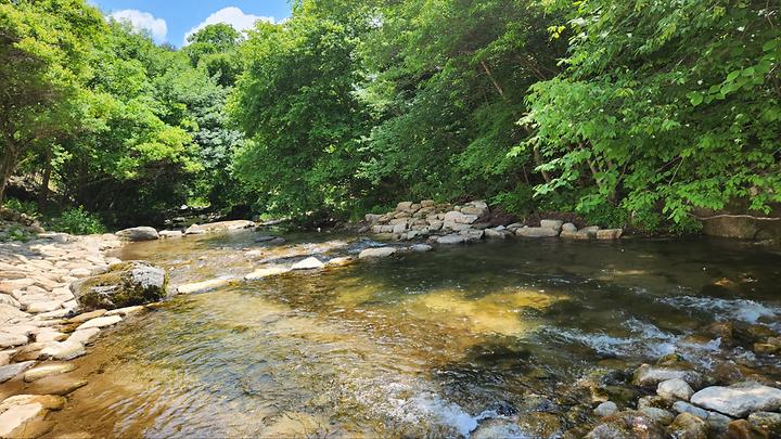 [강원도 평창군] 평창 별내림계곡캠핑장