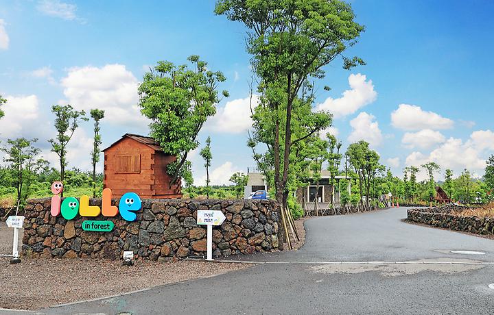 [제주특별자치도 제주시] 아이올레 인 포레스트 캠핑