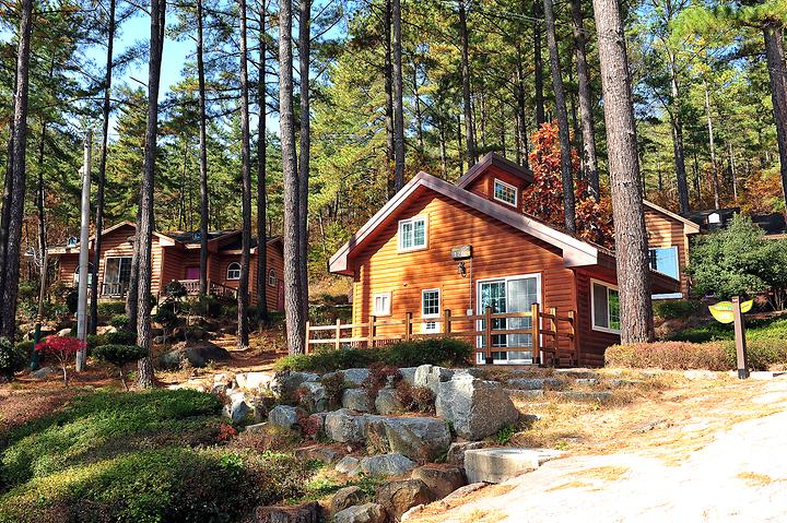 [전라남도 광양시] 백운산 자연휴양림 야영장 – 전기차 충전소와 덤프스테이션을 갖춘 친환경자연휴양림