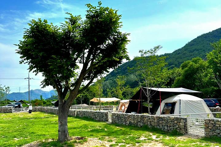 [경상북도 청도군] 벨캠핑장 – 사계절 풍경이 모두 훌륭한 캠핑장