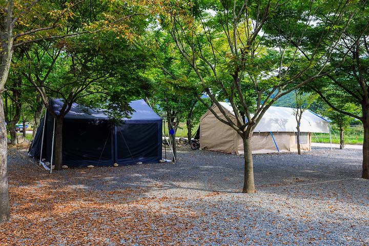 [경상북도 청도군] 청도 사계절 캠핑장